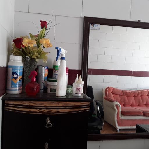 عکس آرایشگاه و پیرایش رضا