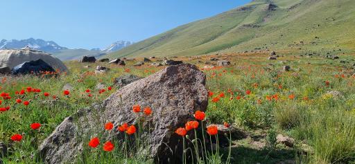 عکس مجموعه کوهستان آلوارس و طبیعت گردی مهرگان 