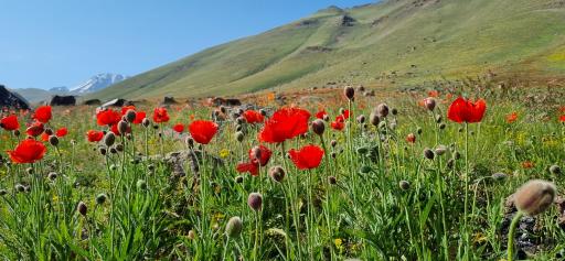 عکس مجموعه کوهستان آلوارس و طبیعت گردی مهرگان 