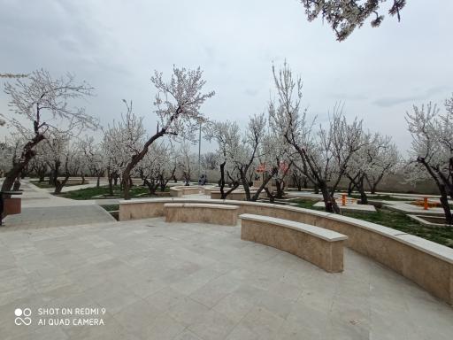 عکس باغ پارک دینار آباد