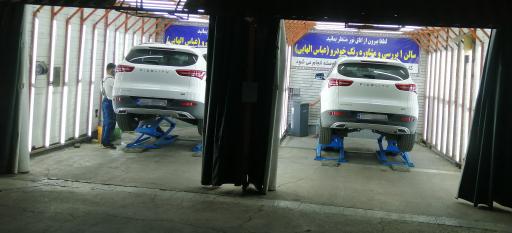 عکس تشخیص رنگ و کارشناسی خودرو عباس الهایی