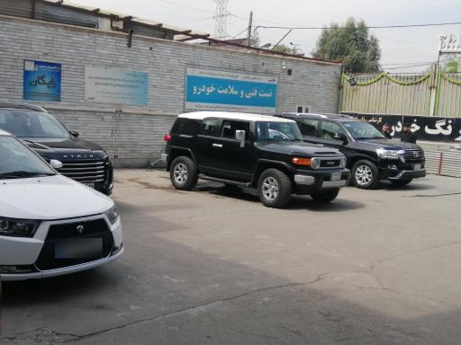 عکس تشخیص رنگ و کارشناسی خودرو عباس الهایی