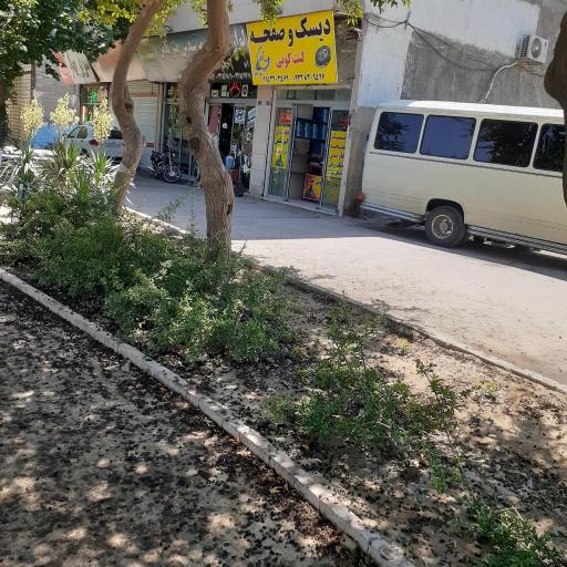 عکس مایان کلاچ