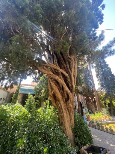 عکس آرامگاه شاه نعمت الله ولی