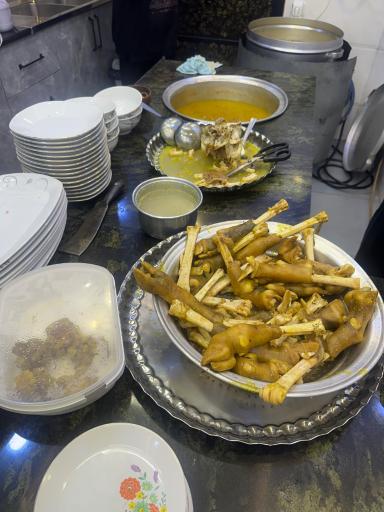 عکس طباخی فرجودی