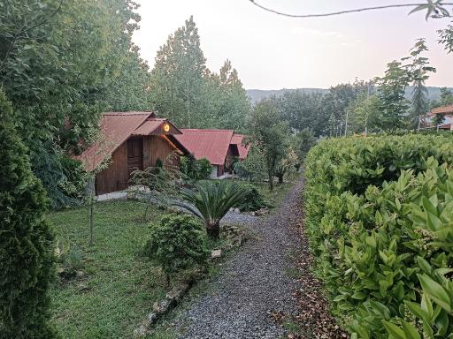 عکس متل آریا