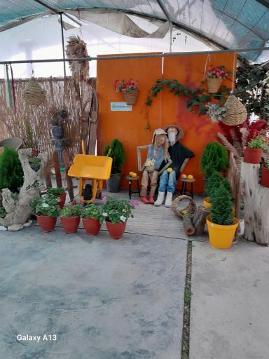عکس مجموعه گل و گیاه و گردشگری ناردین