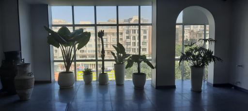 عکس استودیو دل