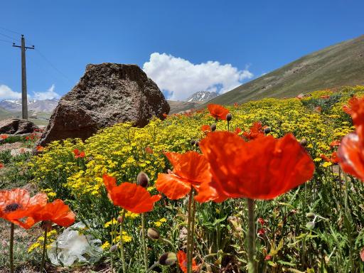 عکس مجموعه کوهستان آلوارس و طبیعت گردی مهرگان 