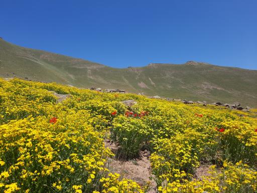 عکس مجموعه کوهستان آلوارس و طبیعت گردی مهرگان 