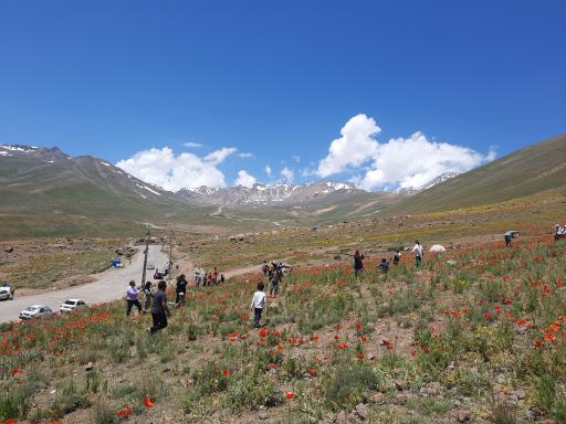 عکس مجموعه کوهستان آلوارس و طبیعت گردی مهرگان 