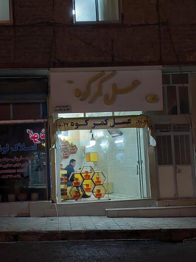 عکس عسل کمرکوه