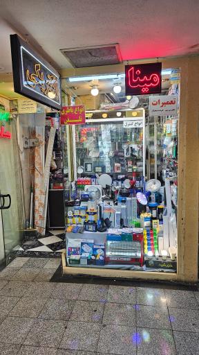 عکس الکتریکی مینا