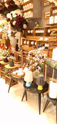 عکس گالری اواکادو