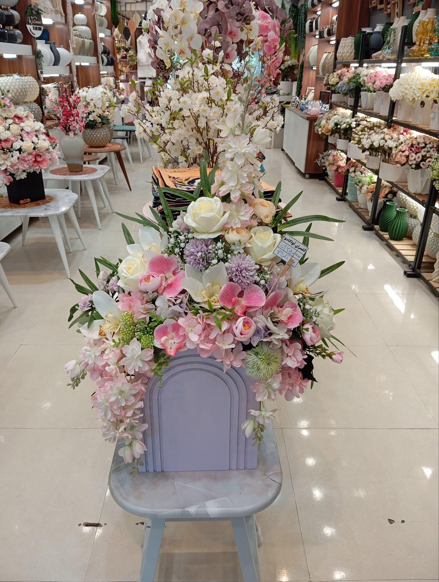 عکس گالری آواکادو