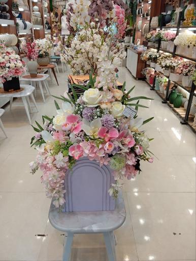 عکس گالری اواکادو