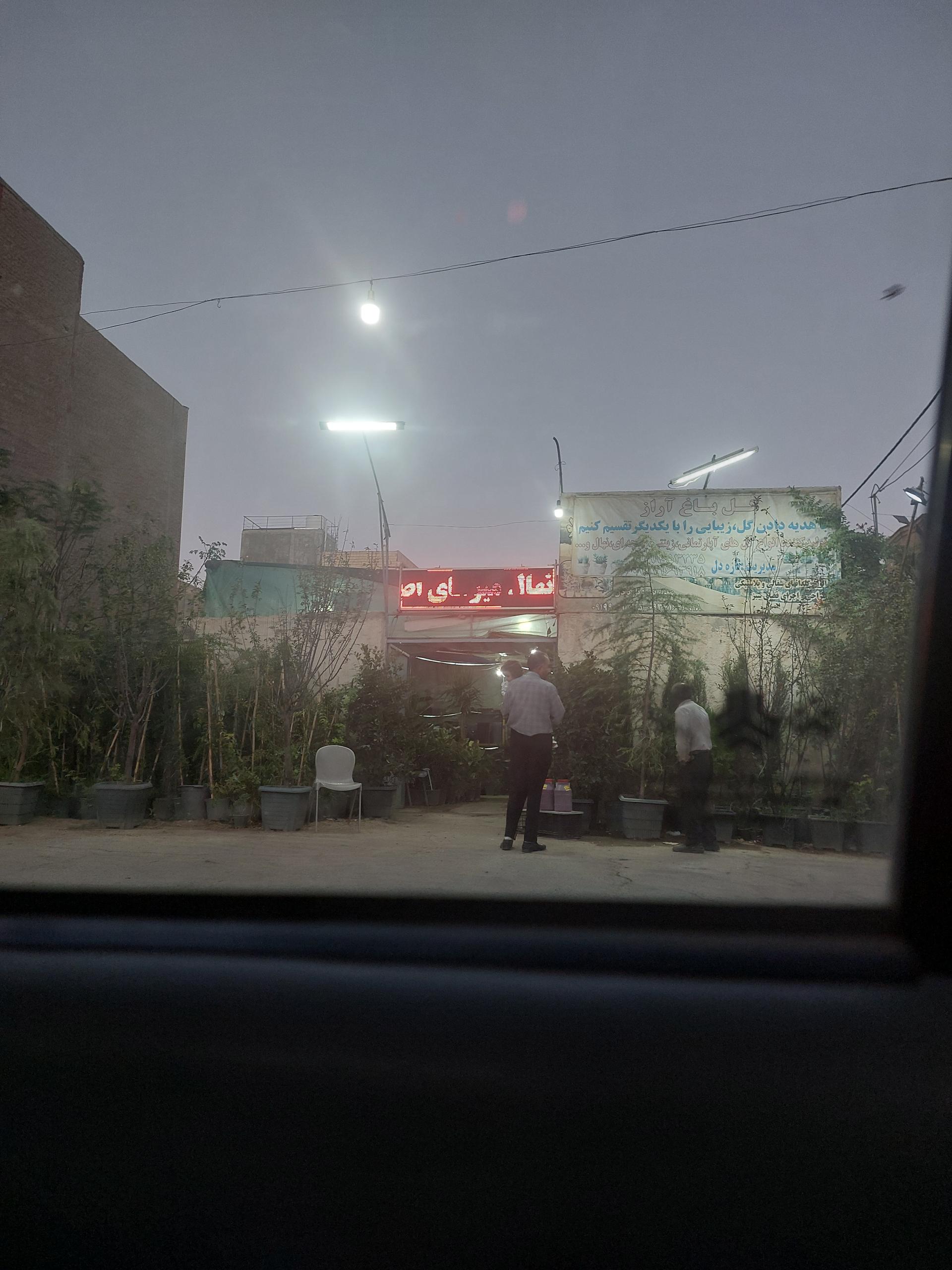 عکس گل باغ آراز