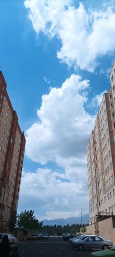 عکس شهپریان