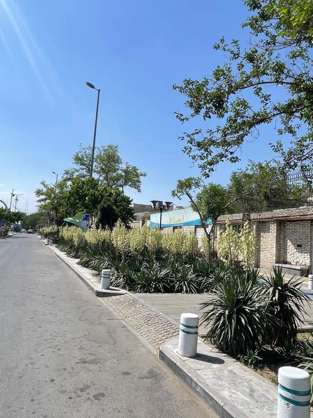 عکس مرکزجامع توانبخشی سالمندان امداد