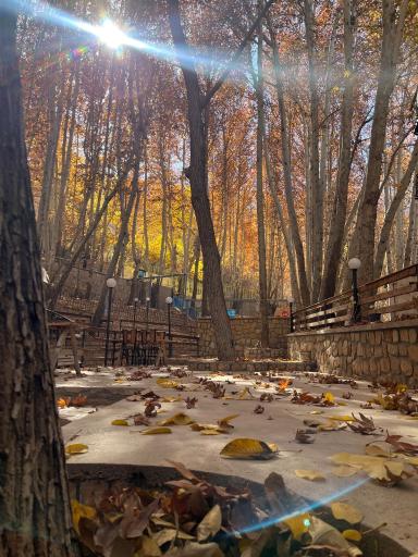 عکس کافه رستوران ردمونت