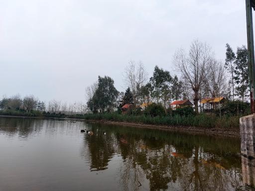 عکس چمخاله ایزایران