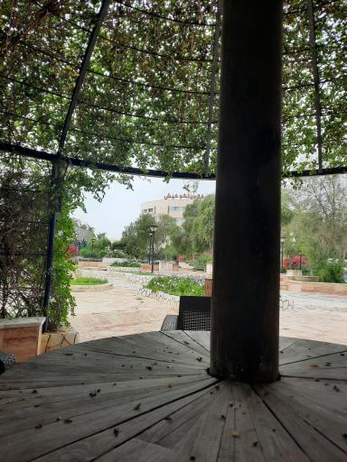 عکس هتل فلامینگو کیش