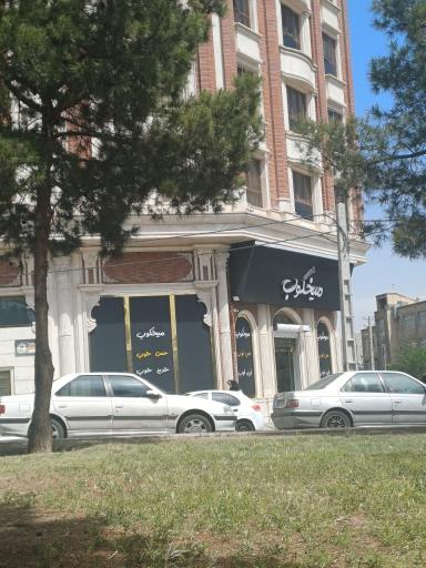 عکس میخکوب شهرری