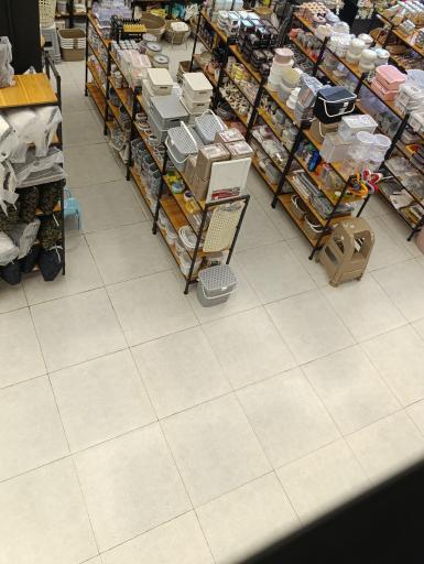 عکس میخکوب شهرری