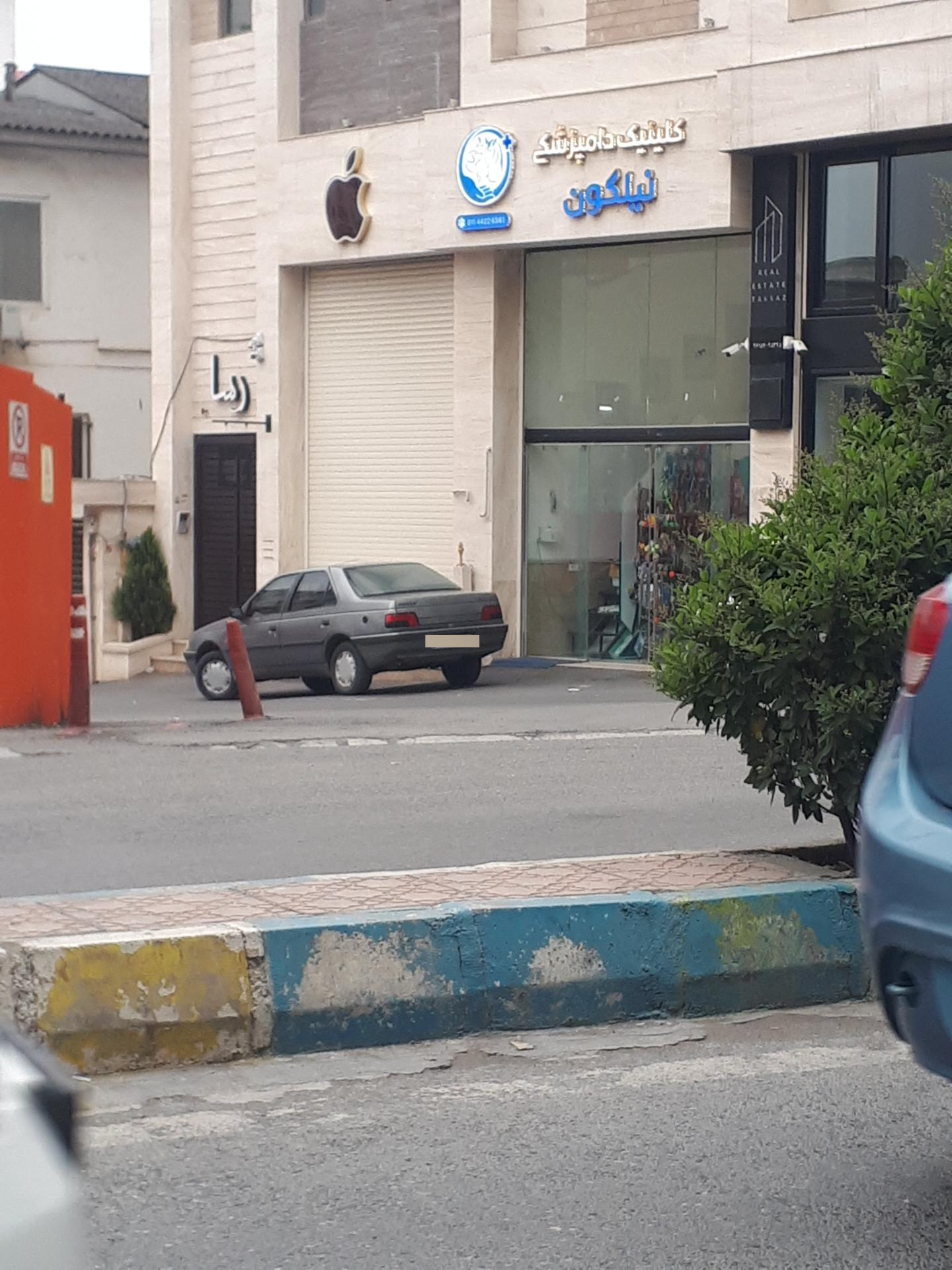 عکس کلینیک دامپزشکی نیلگون 