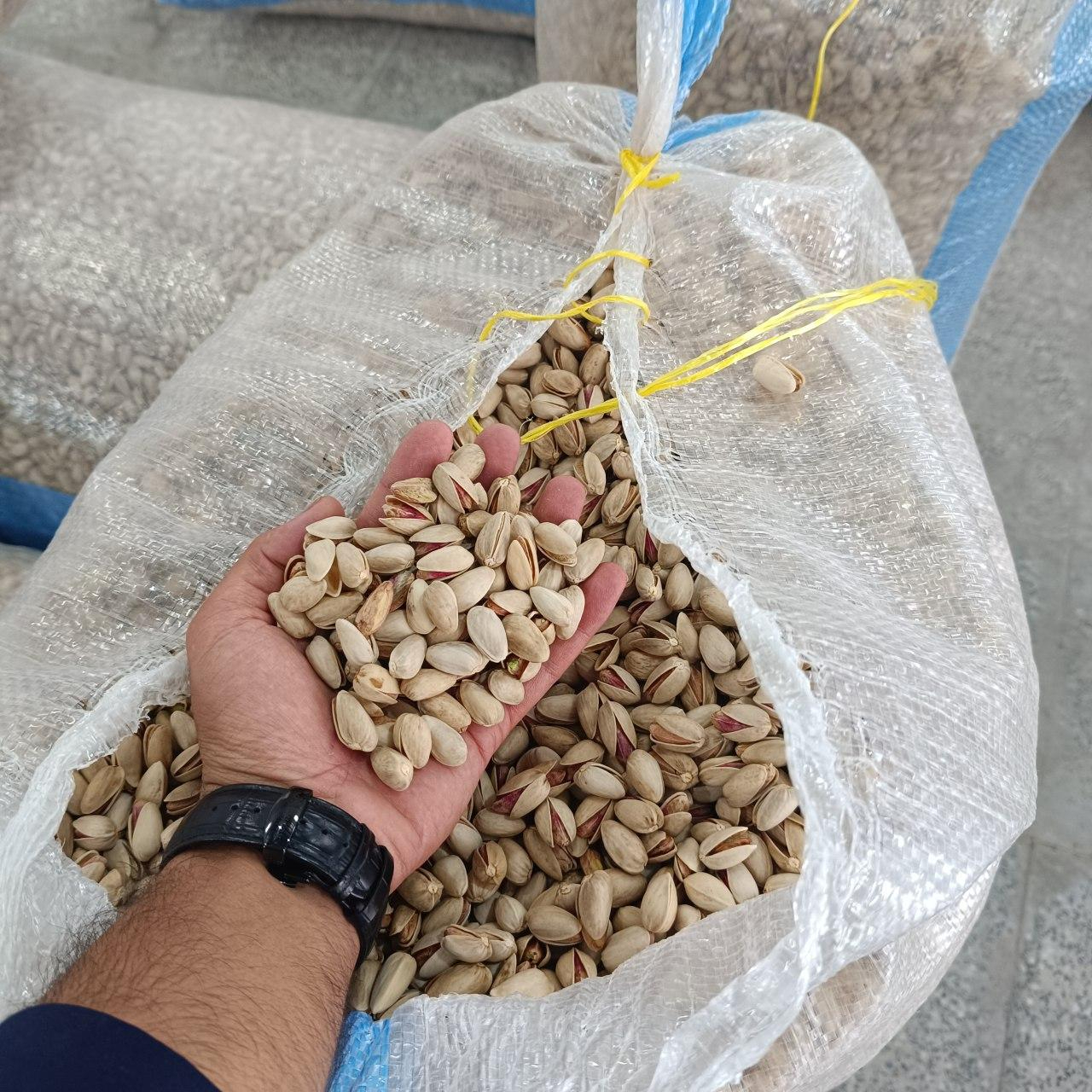 عکس بازرگانی پسته عدالت