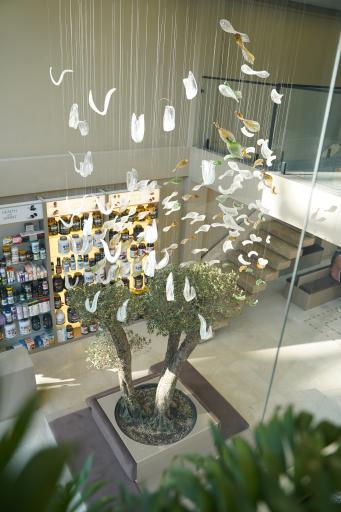 عکس داروخانه شاه میر