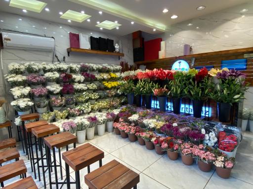 عکس گل لاوین