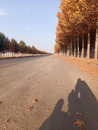 عکس نقاب