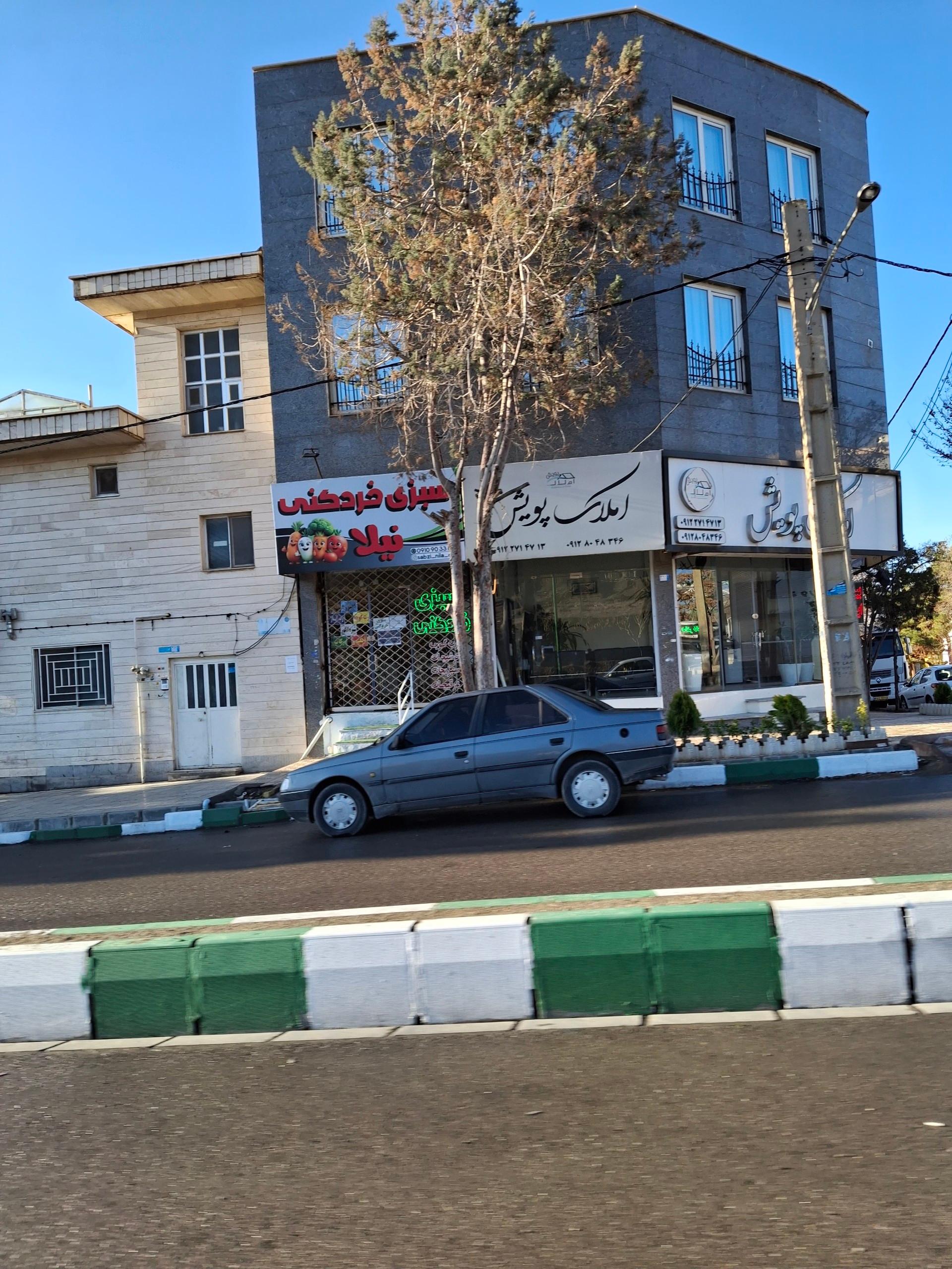 عکس سبزیجات نیلا