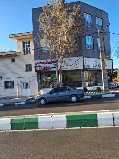 سبزیجات نیلا