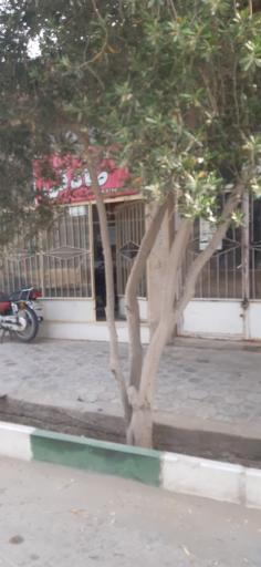 عکس گازرسانی سپاهان گاز کویر صادقی