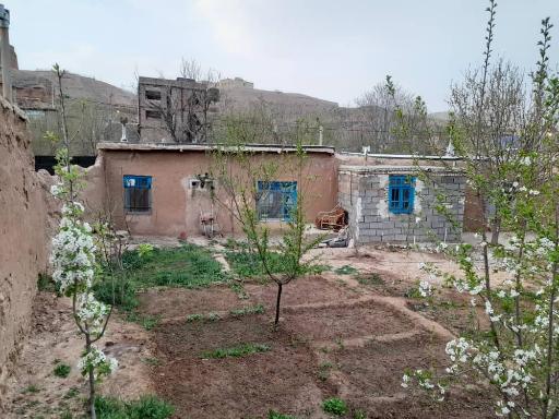 عکس بوم گردی صباغ