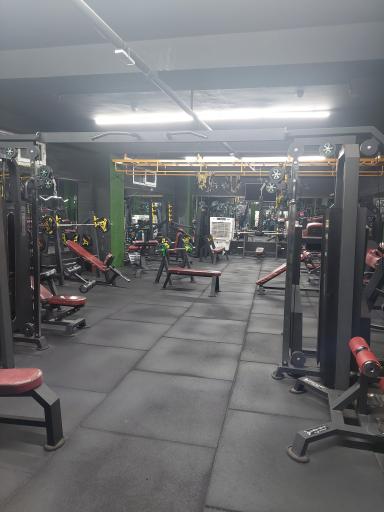 عکس باشگاه بدنسازی ستارگان تک اندام