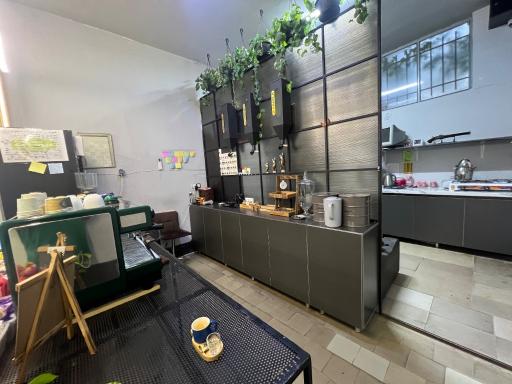 عکس کافه سبز