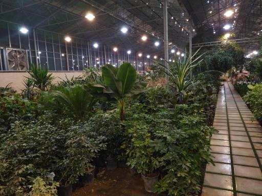 عکس مجموعه کشاورزی هلیاد