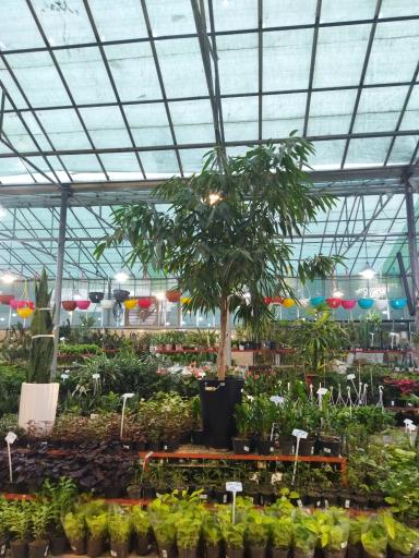 عکس مجموعه کشاورزی هلیاد