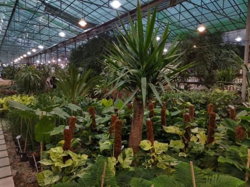 عکس مجموعه کشاورزی هلیاد