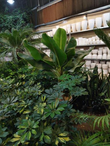 عکس مجموعه کشاورزی هلیاد