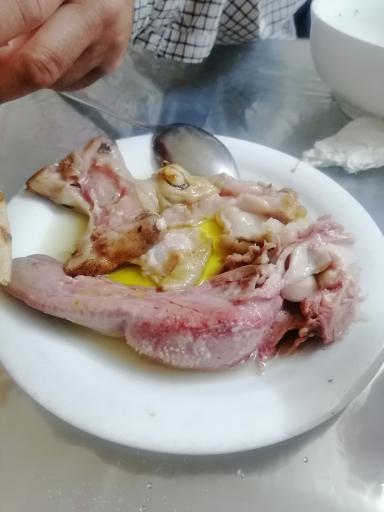 عکس طباخی آلاله