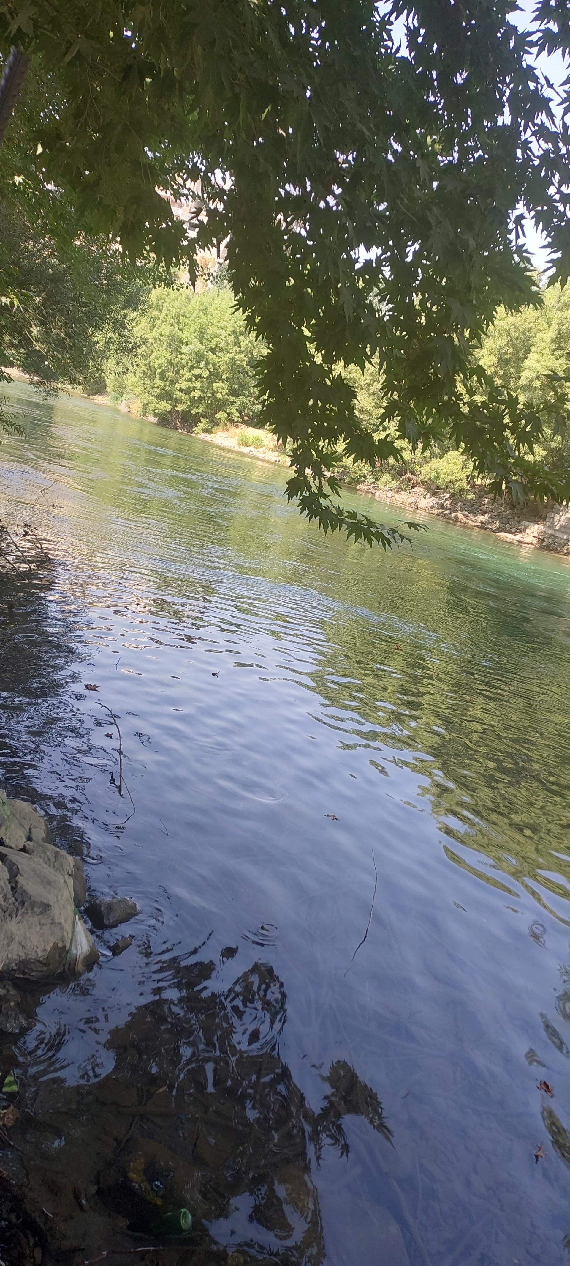 عکس باغ و باغچه اسماعیلی