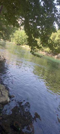 عکس باغ و باغچه اسماعیلی