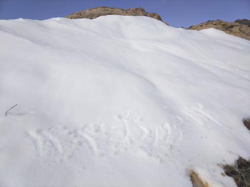 عکس قله پلنگدار