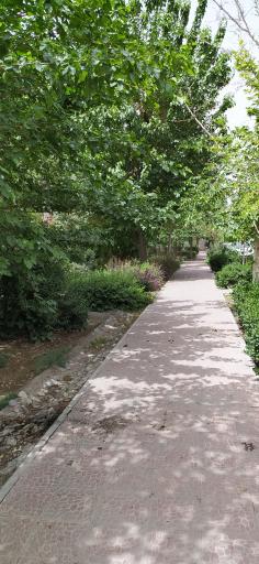 عکس بوستان کاشف