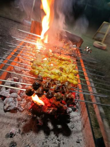 عکس جگرکده کندی بیخ