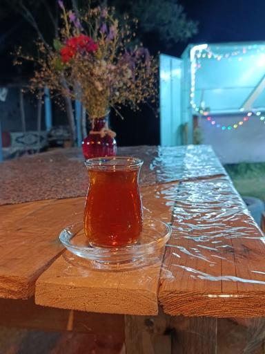 عکس جگرکده کندی بیخ